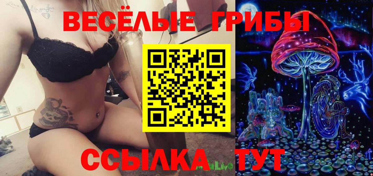 Аша  Псилоцибиновые грибы MAGIC MUSHROOMS  Вход с VPN 